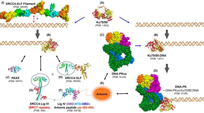 Figure 4.