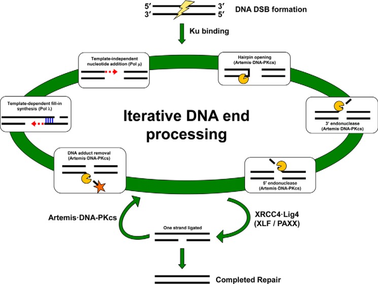 Figure 3.