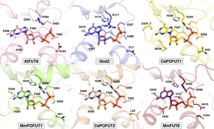 Figure 2.