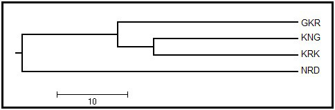 Figure 2