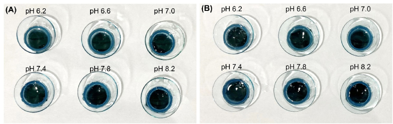 Fig. 5