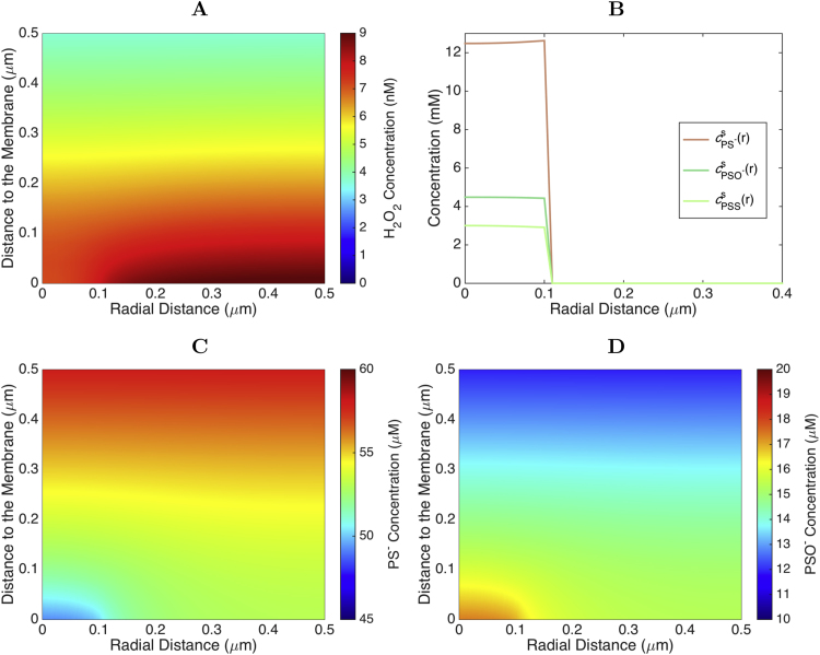 Fig. 7