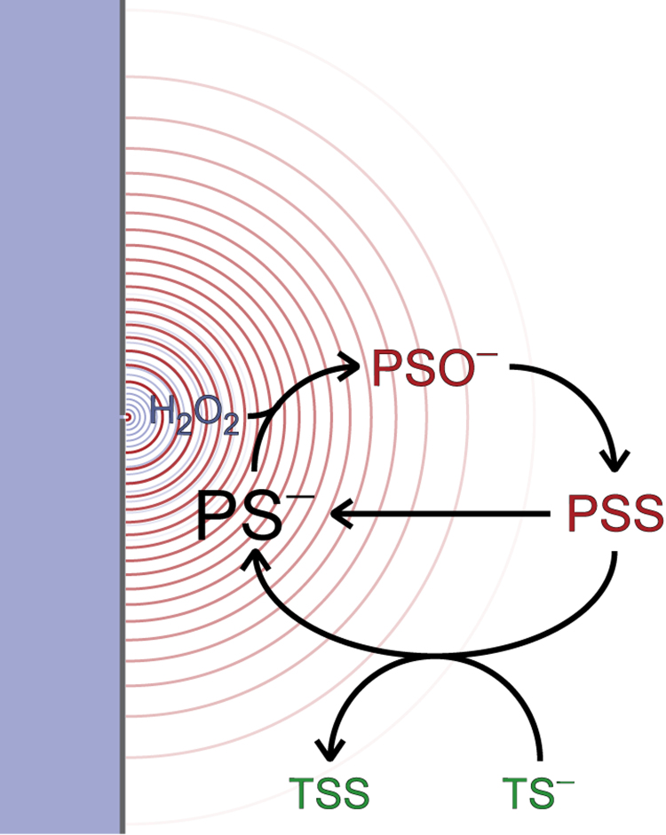 Fig. 8