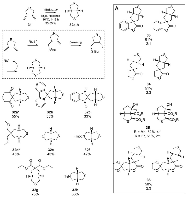 Scheme 6