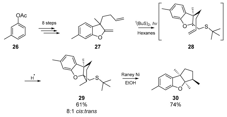 Scheme 5