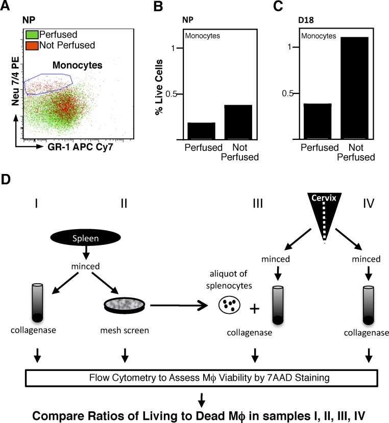 FIG. 1