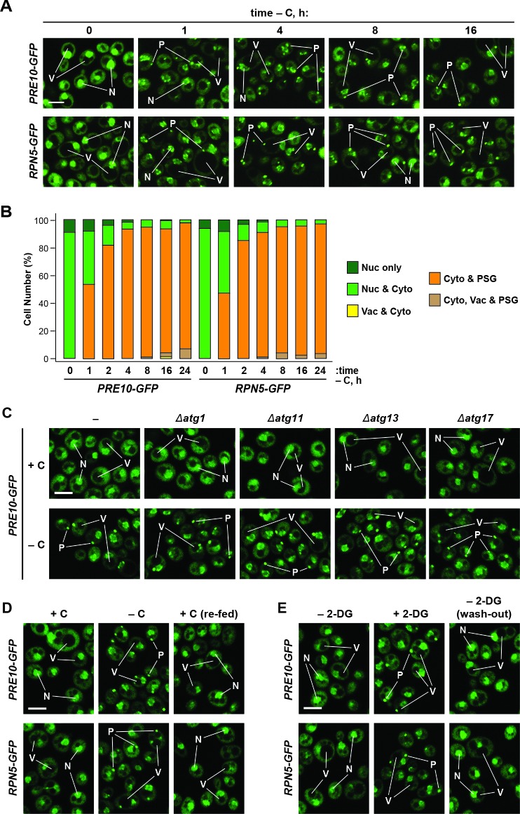 Figure 1—figure supplement 2.