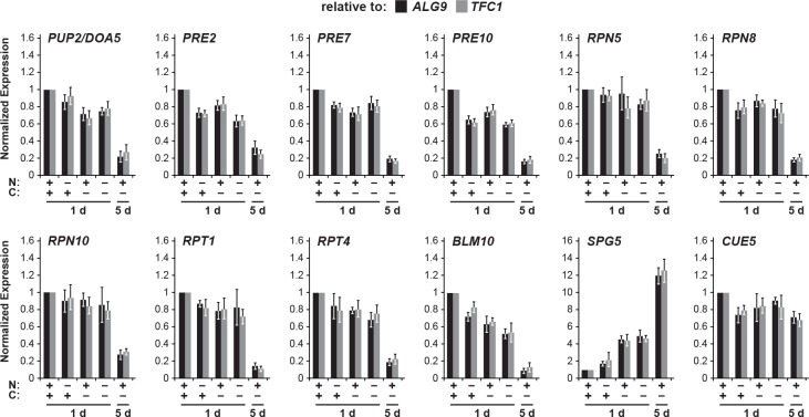 Figure 5—figure supplement 1.