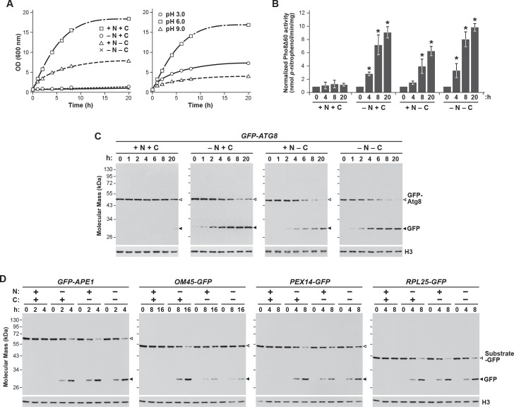 Figure 1—figure supplement 1.