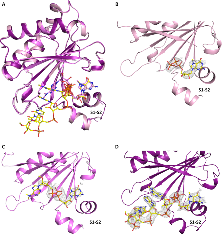 Figure 3.