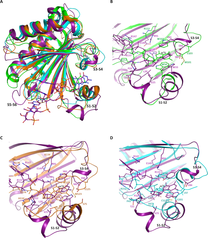 Figure 5.