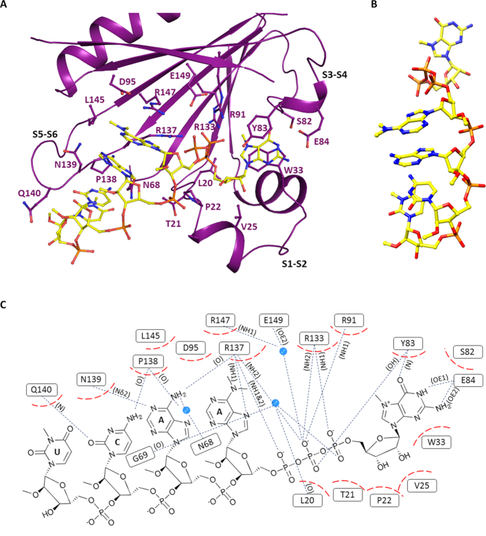 Figure 4.