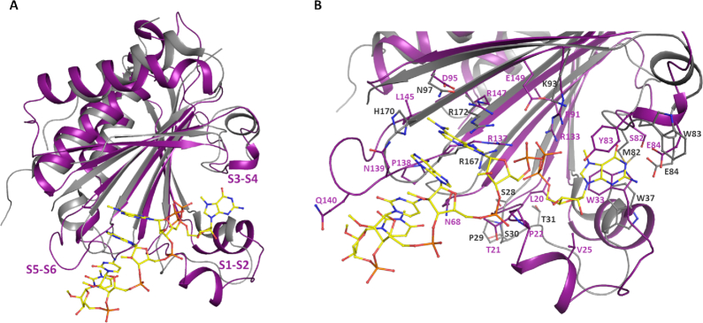 Figure 6.