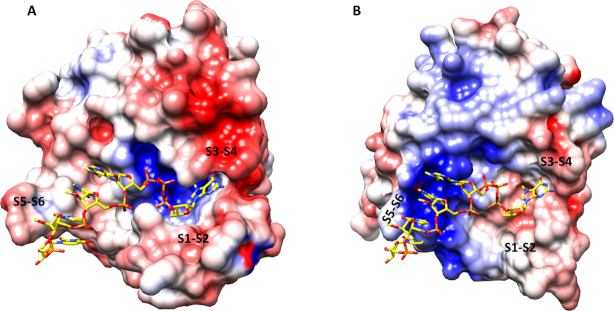 Figure 7.