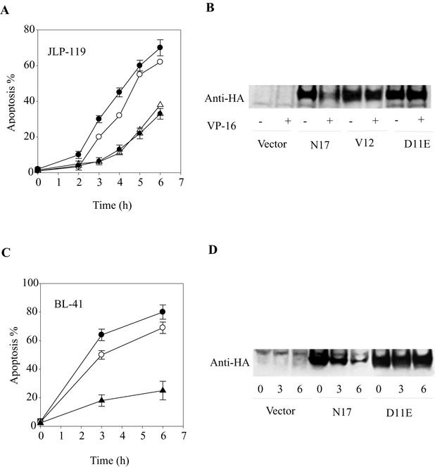 FIG. 9.