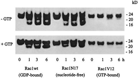 FIG. 6.