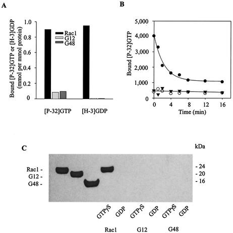 FIG. 7.