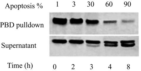 FIG. 8.