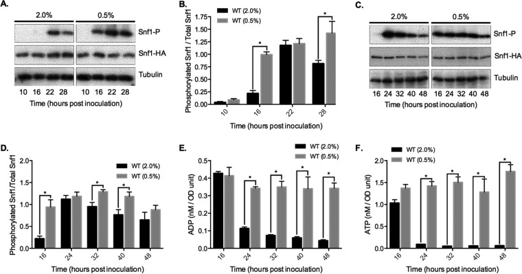 FIG 3