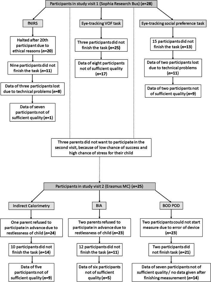 Fig. 2