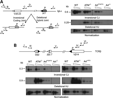 Figure 2.