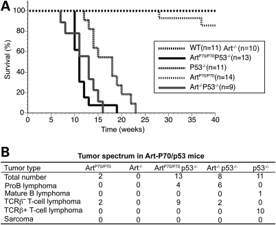 Figure 4.