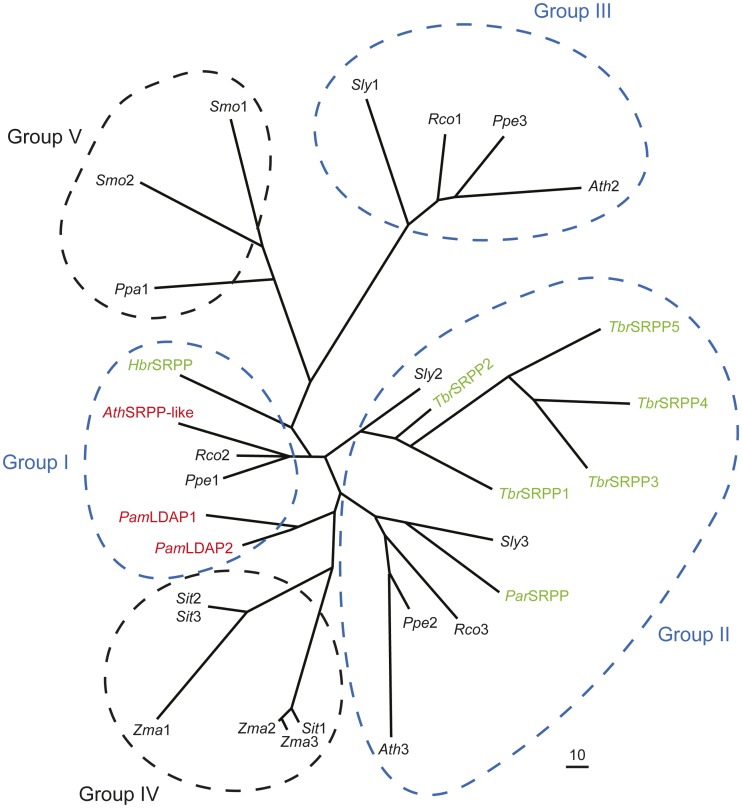 Figure 7.