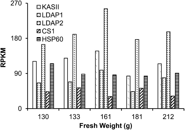 Figure 3.