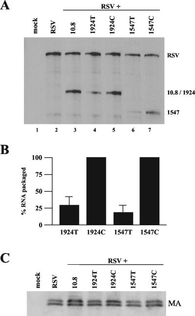 FIG. 6.