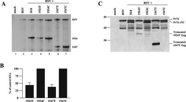 FIG. 5.