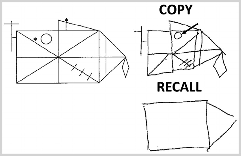 Figure 1-1