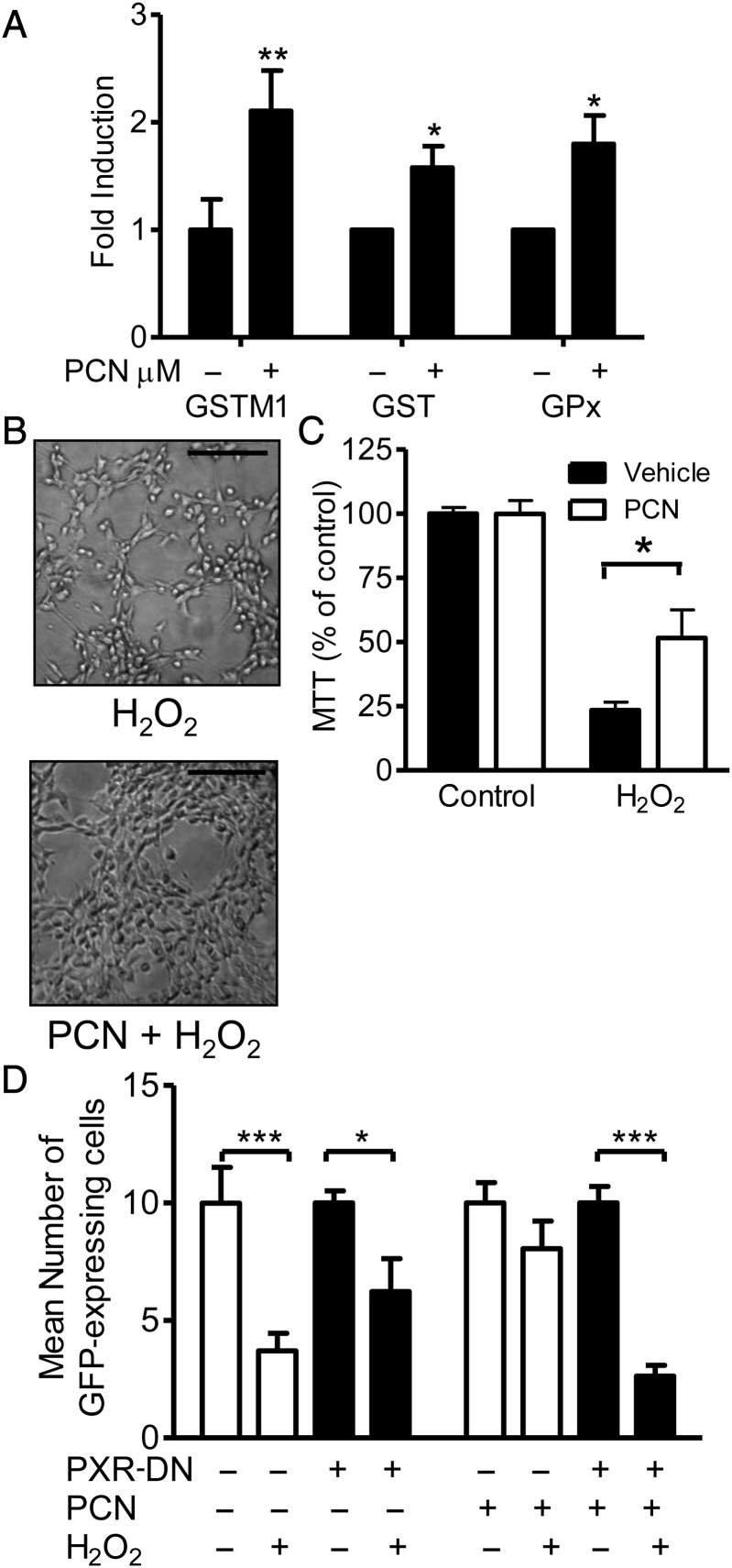 Figure 6