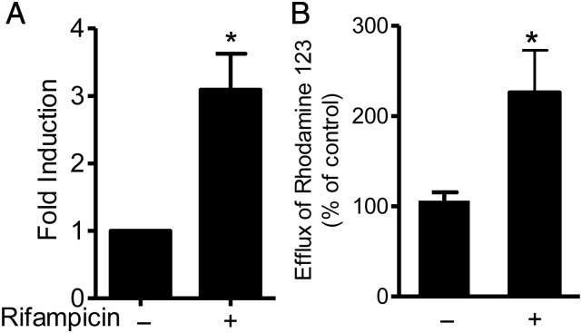 Figure 5