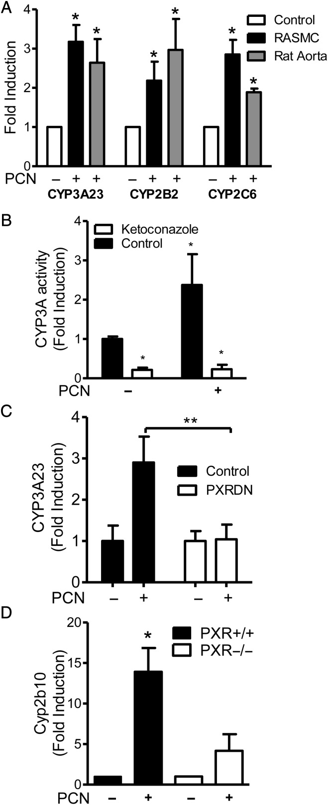 Figure 3