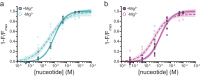 Figure 4—figure supplement 2.