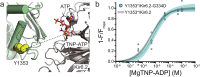 Figure 1—figure supplement 3.