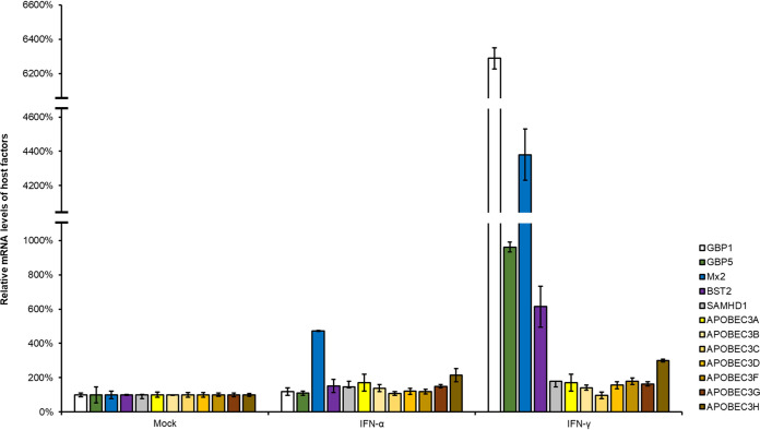 FIG 2