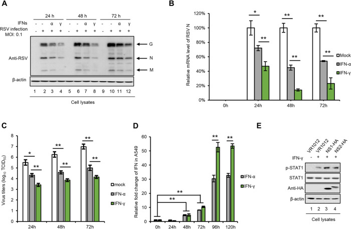 FIG 1