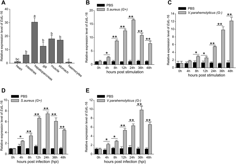 Figure 2