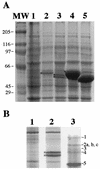 FIG. 3