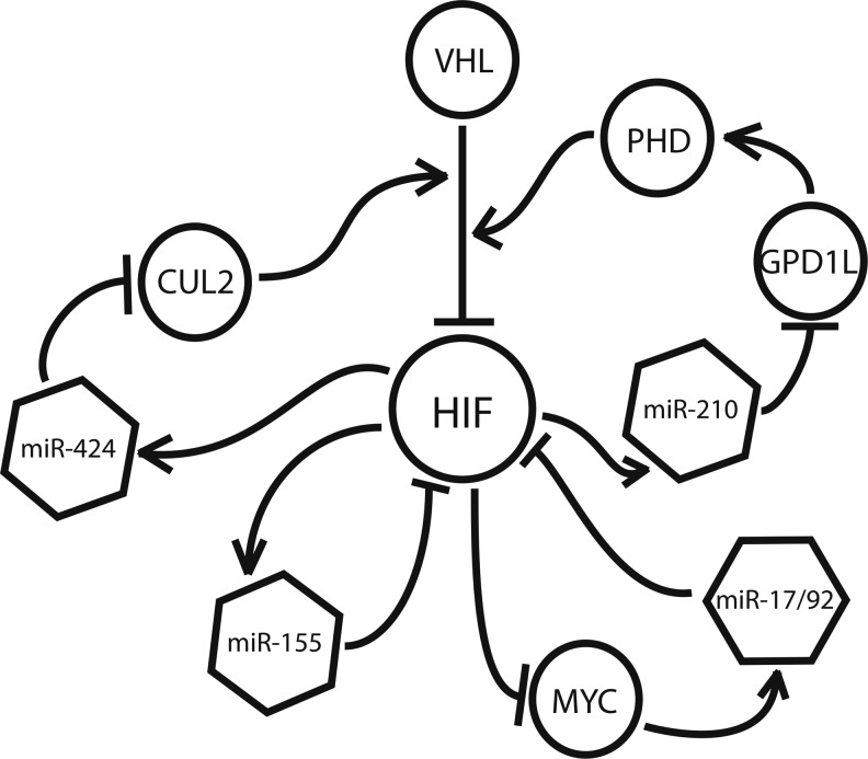 FIG. 7.