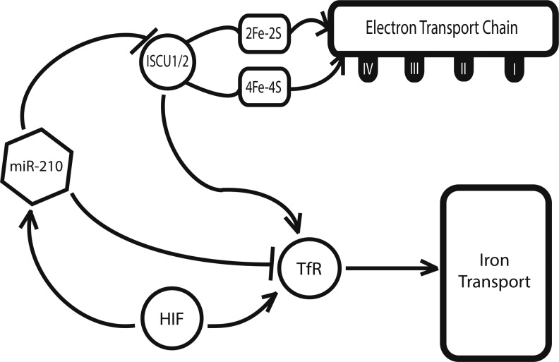 FIG. 5.