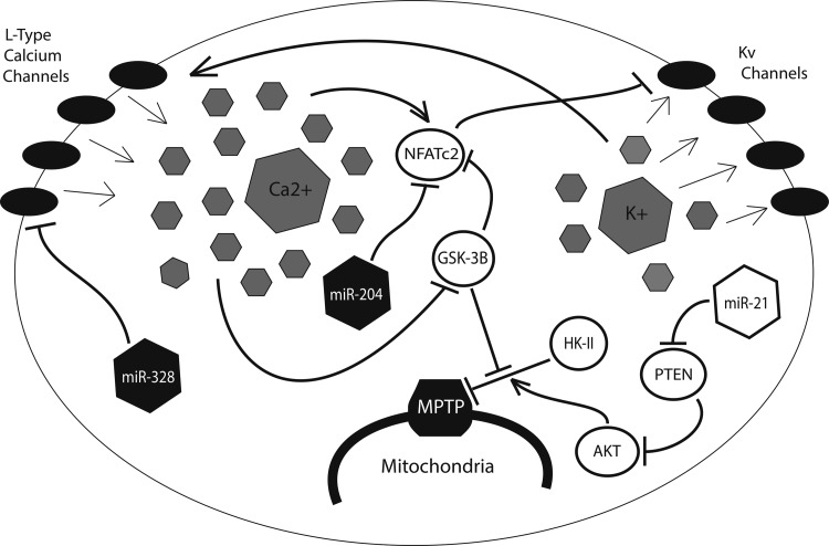 FIG. 6.