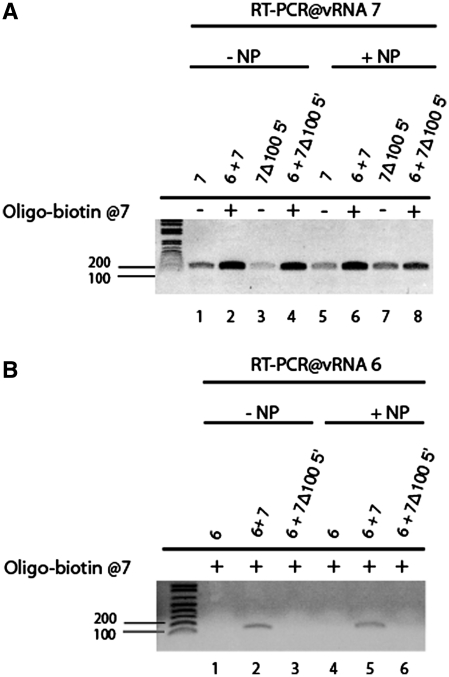 Figure 5.