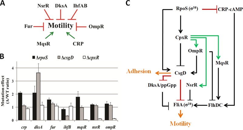 FIG 6