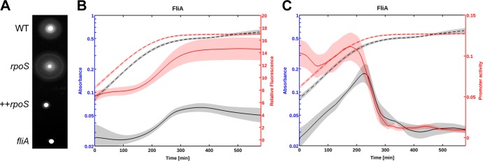 FIG 1