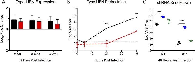 FIG 4 