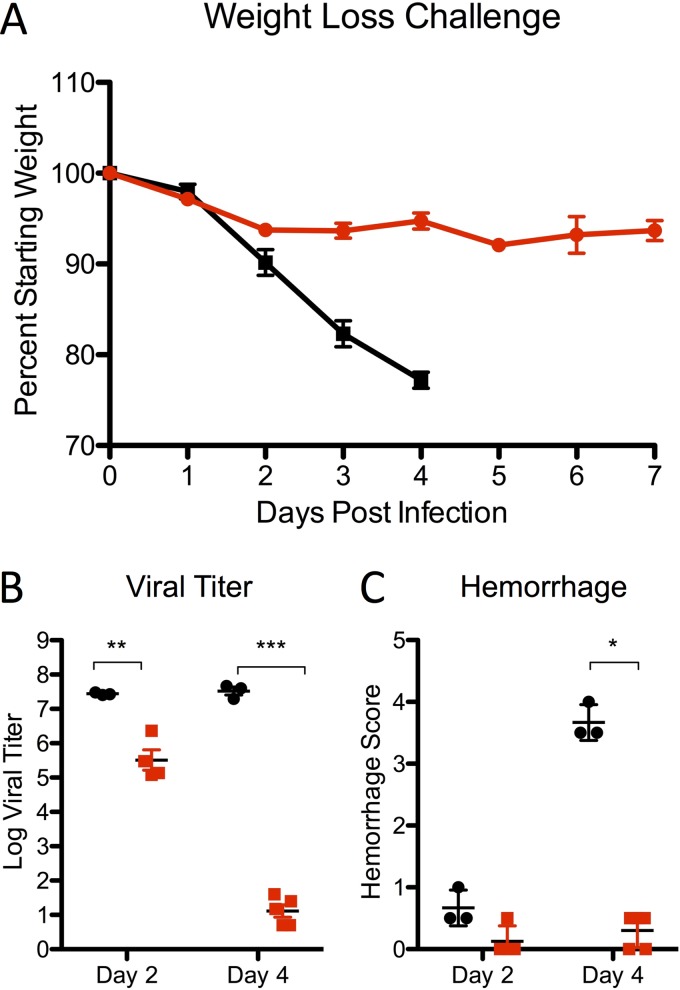 FIG 6 