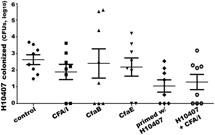 Fig 5