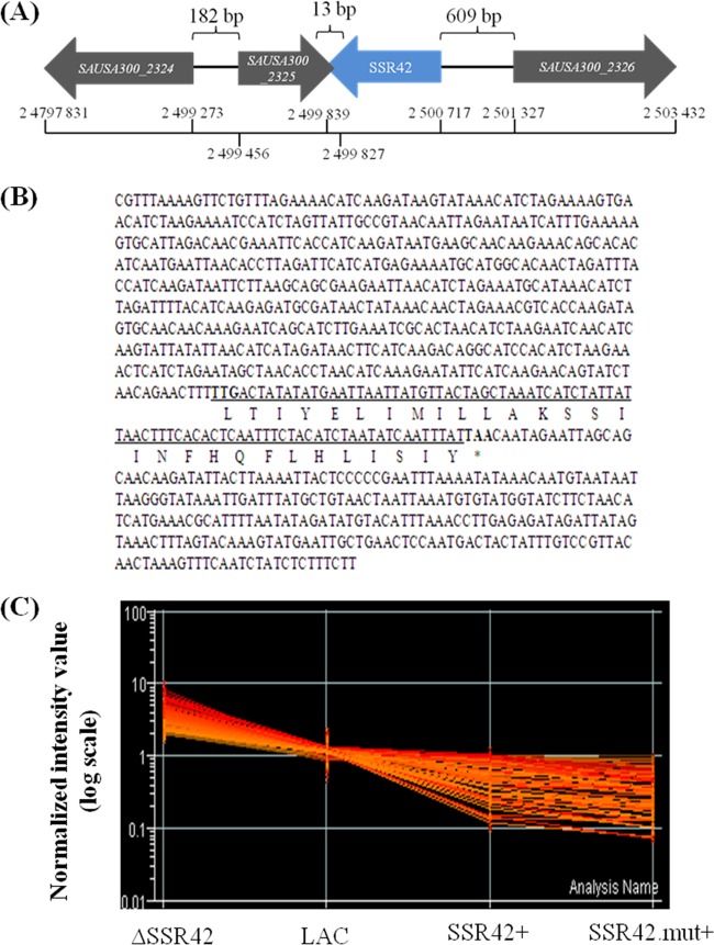 Fig 8